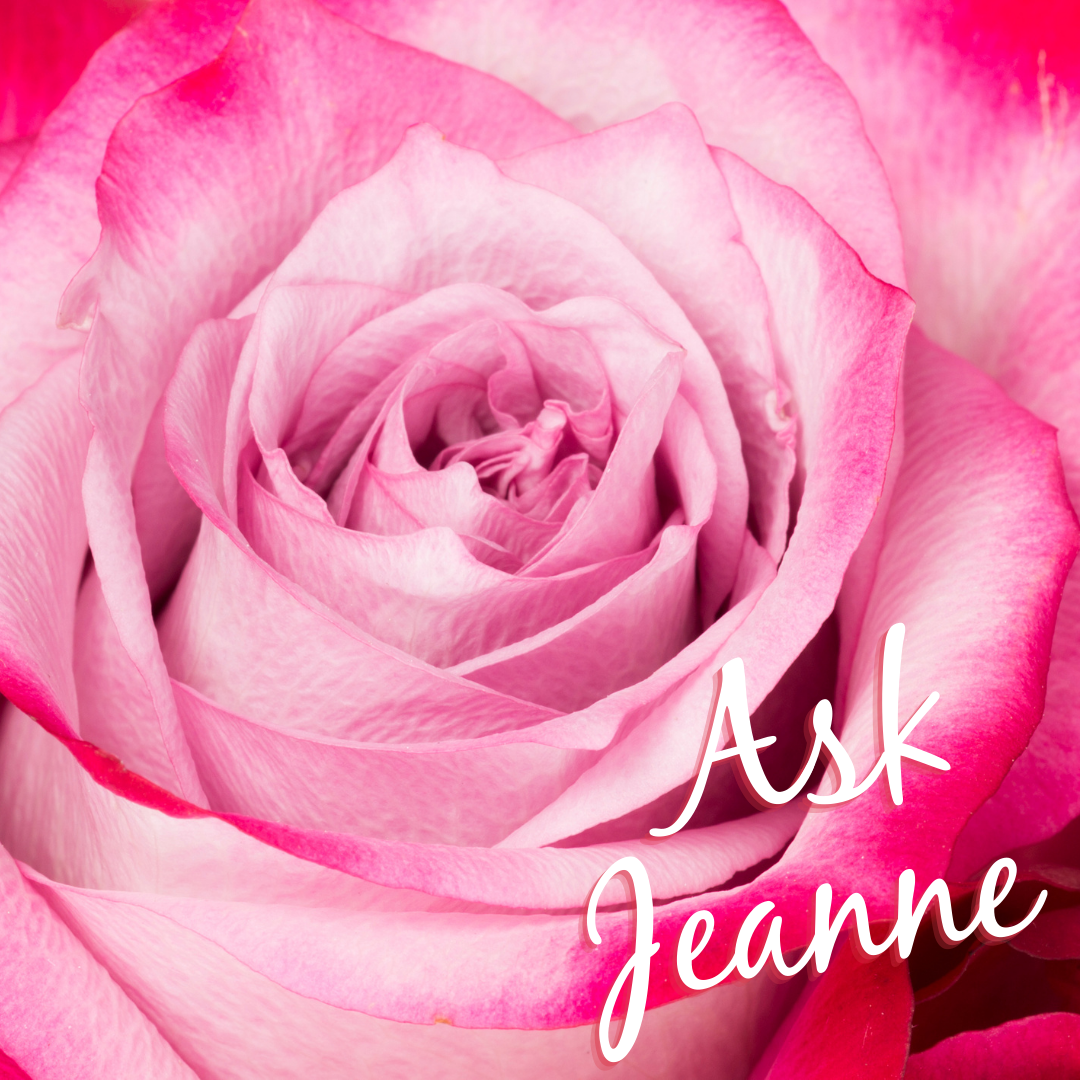 Cover post for Ask Jeanne